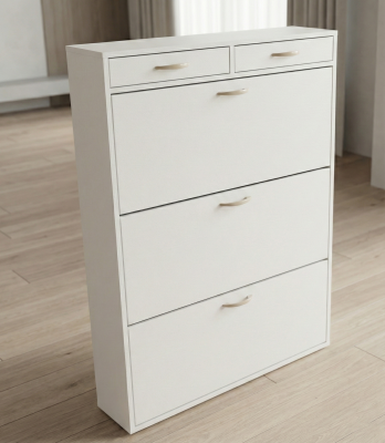 ZAPATERA BORE SISTEMA ABATIBLE Y CAJONES